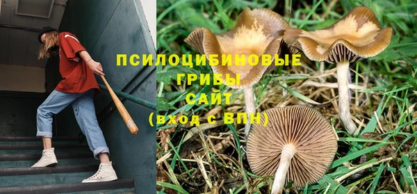 альфа пвп Медвежьегорск