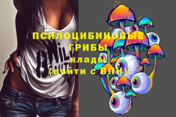 соль ск Медногорск