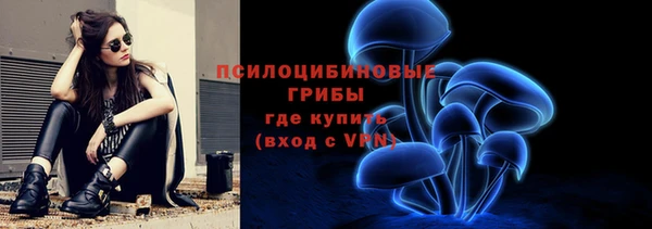 альфа пвп Медвежьегорск