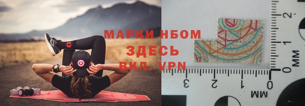 соль ск Медногорск