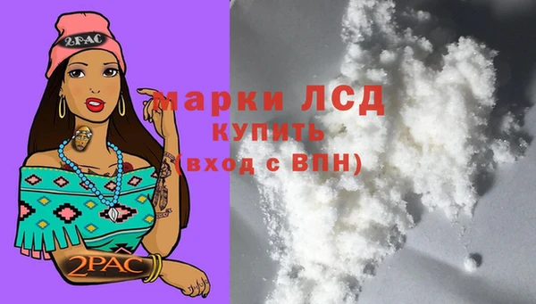 альфа пвп Медвежьегорск
