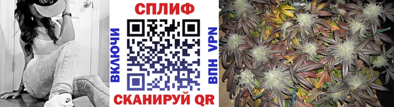 Бошки Шишки конопля  как найти закладки  Невинномысск 